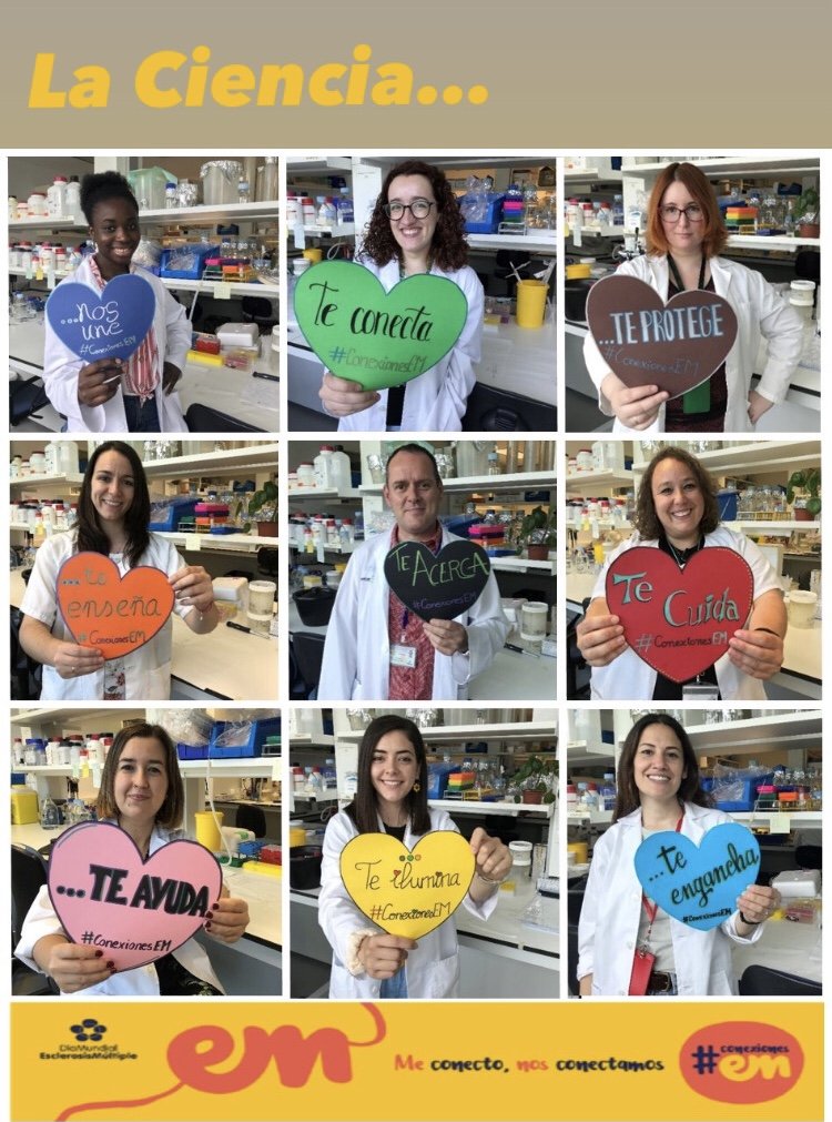 Hoy es el #diamundialesclerosismultiple!!
Una enfermedad crónica, neurodegenerativa incurable que afecta a 2,8 Millones de personas en el mundo, y en la que trabajamos nuestro grupo de investigación de <a href="/HNParaplejicos/">H. N. Parapléjicos</a> <a href="/SanidadCLM/">Sanidad CLM</a>
Apoyamos la campaña #ConexionesEM 
#equipoGNIR