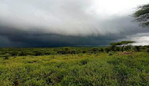 tukwa2's tweet photo. #savetheplanetEarth
#saveTheAmazonForest
#savePERUForest
#saveArabukosokokeforest
#EnvironmentalJustice
#ClimateAction
solidarity with all
#climateActivist and other sympathetic Friends. https://t.co/mmNinSWzcR