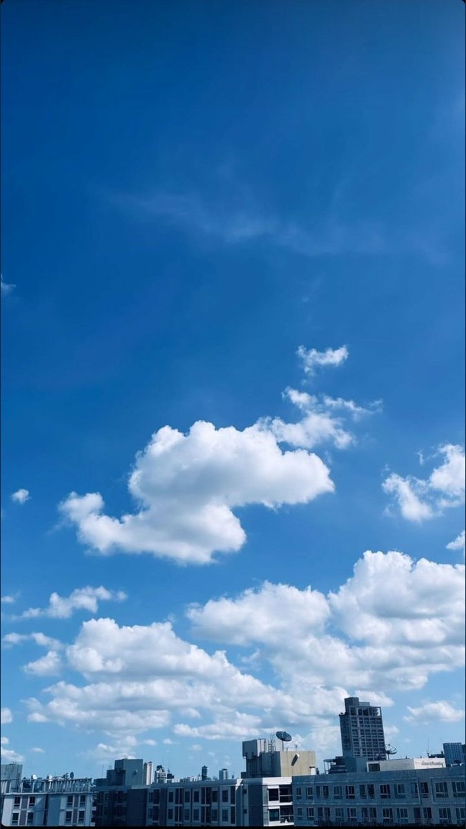 MewSuppasitTR's tweet photo. IGS:mewsuppasit
@MSuppasit

🌼 - Where ever l look see you -🌼

        ♥️ [Mew Suppasit]♥️

#MewSuppasit #Mewlions #MewSuppasitStudio #MewSuppasitTurkey #AlwaysWithMew https://t.co/tz6e7DrZbb