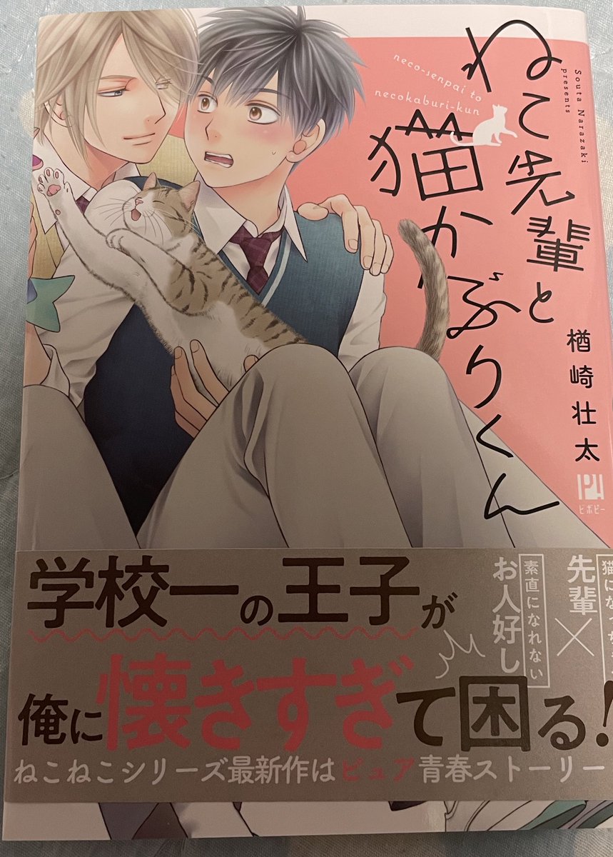 ねこ先輩と猫かぶりくん Twitter Search