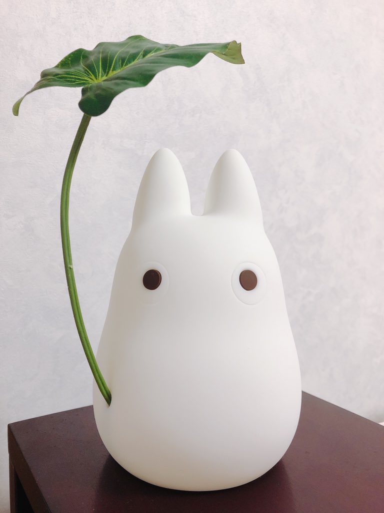 0825Frog's tweet photo. とてもかわいい( ˘ω˘ )💕 https://t.co/XoDJGe6MD8