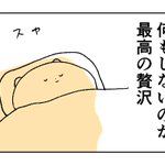 土日、何かしましたか？何もしなくても贅沢な日常!