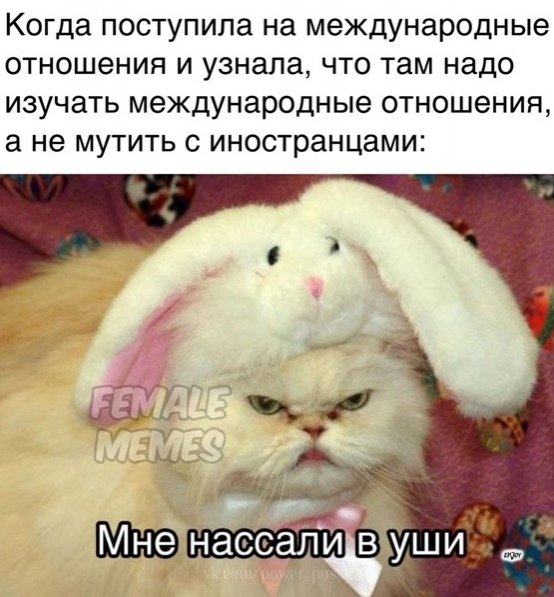 foxylya's tweet photo. Коротко о моей спецухе и моём факультете в общих чертах. https://t.co/utNWrhExSQ