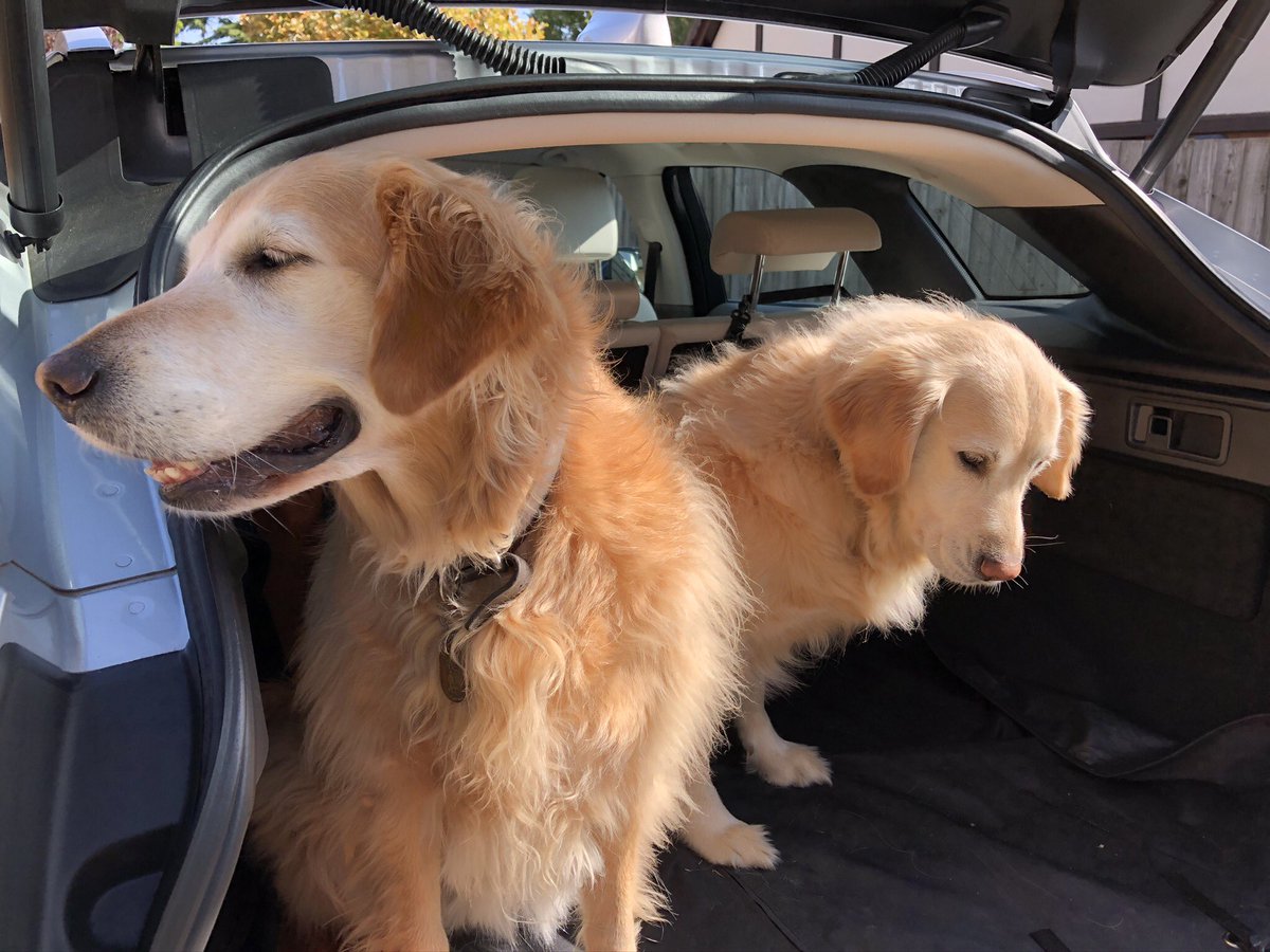 Tema Isenmann tweet media