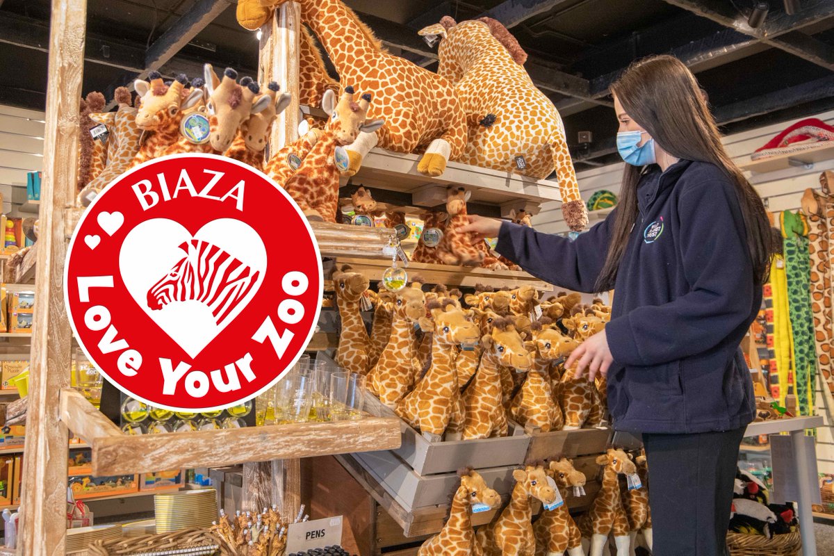 Paignton Zoo tweet media