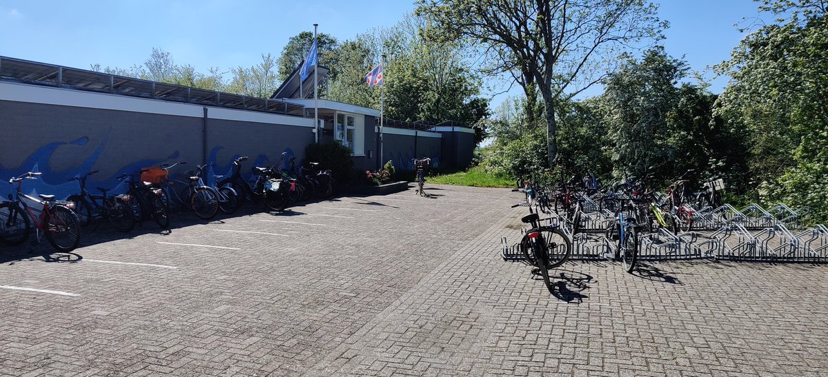 Dit wie freed. Hjoed wer moai waar. Der kinne noch wol wat fytskes by. Ek wol grutte. Fannemiddei earst banenzwemmen, dan frij. Wylens it frij swimmen is der ek altyd in baan frij foar banenzwemmen, ús Liesette Bruinsma Baan.