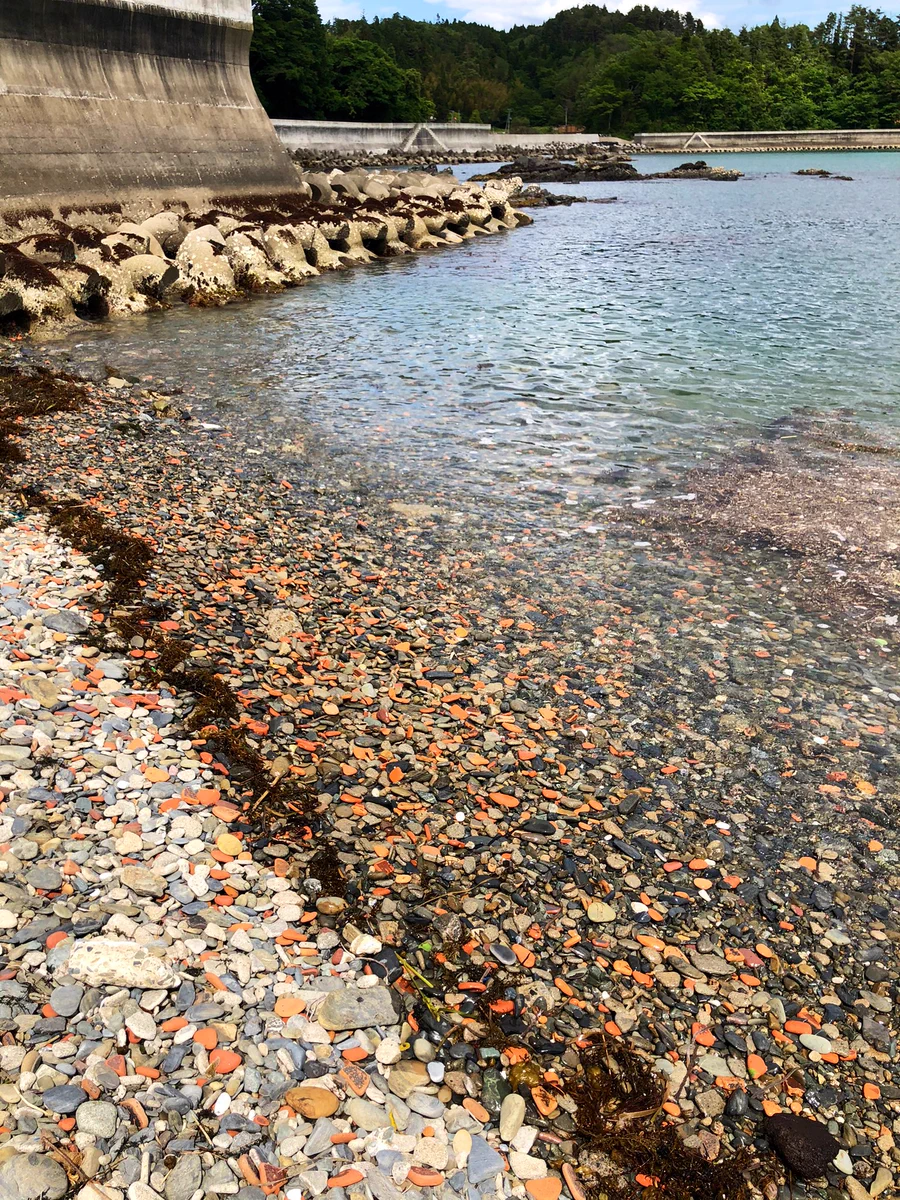 気仙沼市唐桑町にある浜に赤い石がある？流された家の赤瓦だった！