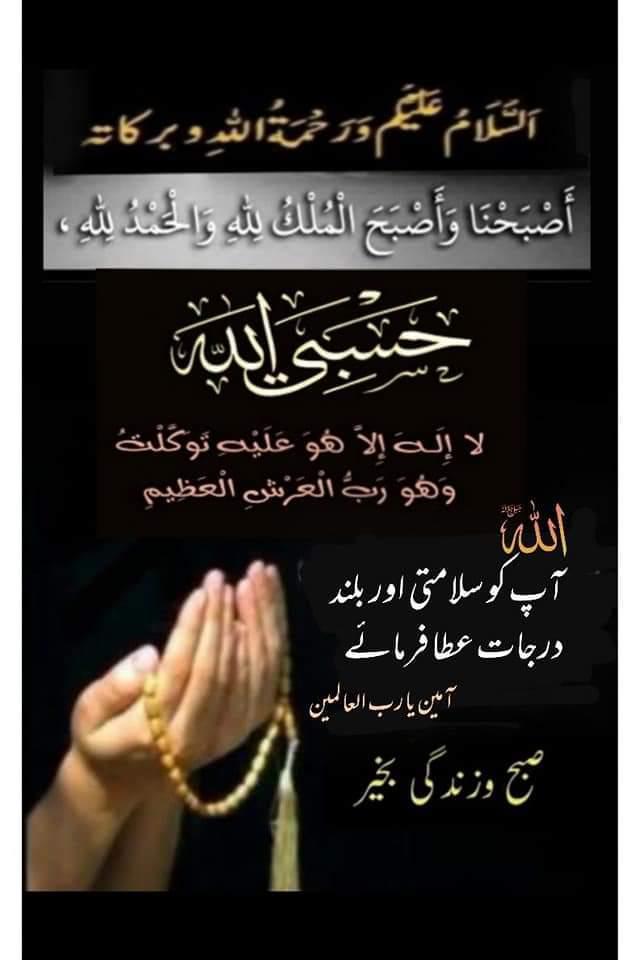 Rana Abdul Hameed tweet media