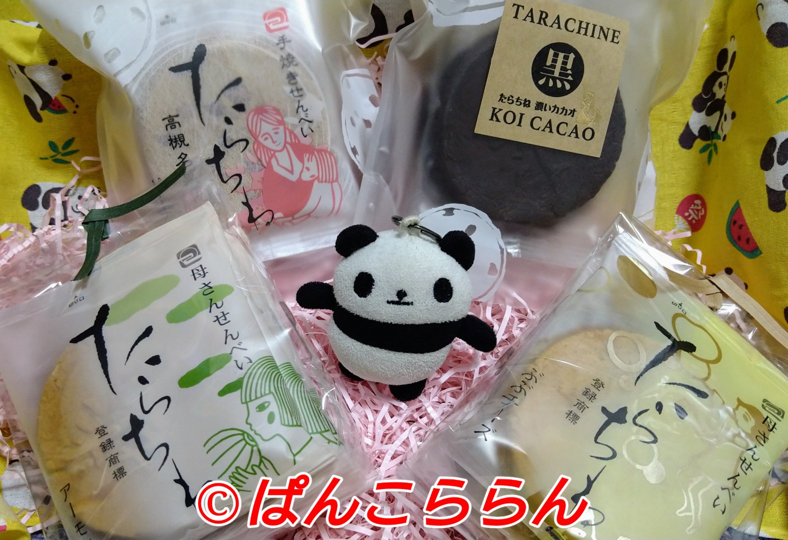 月輪堂 Twitter Search Twitter