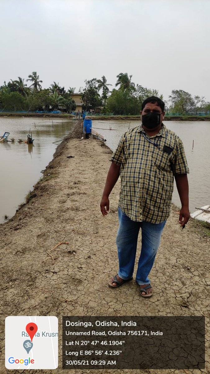 dfo_bhadrak's tweet photo. #CycloneYaas Damage assessment by Ajay Kumar Behera , JFTA at Dosinga GP of Chandabali block of Bhadrak District. @DM_Bhadrak @OdishaFisheries @farddept https://t.co/L0E02pcN43