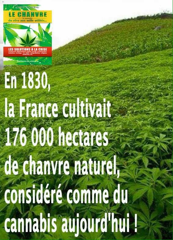 Agrochanvre's tweet photo. @Agrochanvre #chanvrebio toujours des produits bio en développement pour #agrochanvre qualités des produits et teneur ultra performante de l’équilibre oméga 3 et 6 favorise la dynamique pour le corps, assimilation favorisée ! #Huiles #graines #farine https://t.co/XvpIZYrddL