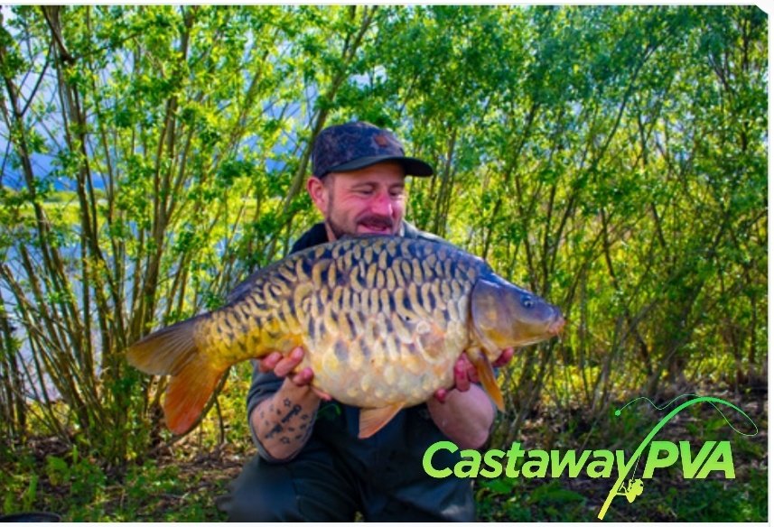 Castaway PVA tweet media