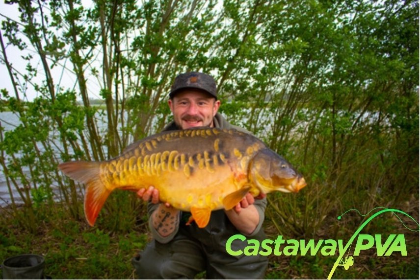 Castaway PVA tweet media