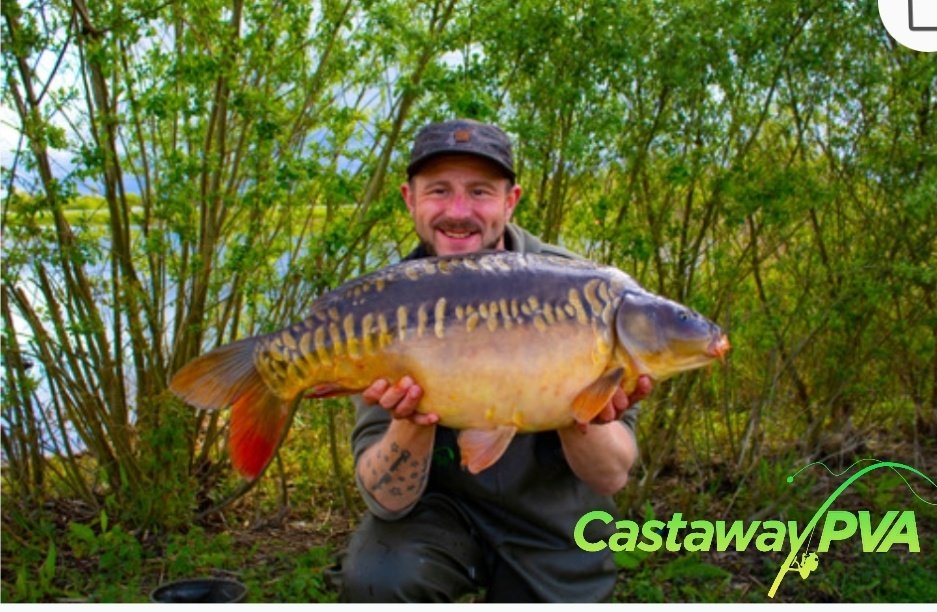 Castaway PVA tweet media