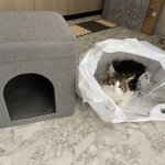 ニトリの「座れる室内用ペットハウス」を購入したところ、愛猫大満足!？