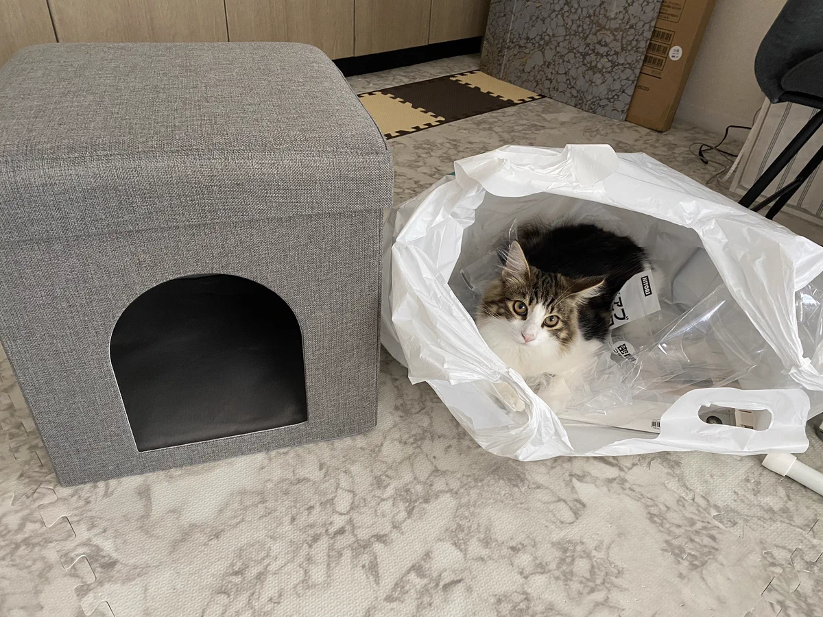 ニトリの「座れる室内用ペットハウス」を購入したところ、愛猫大満足！？