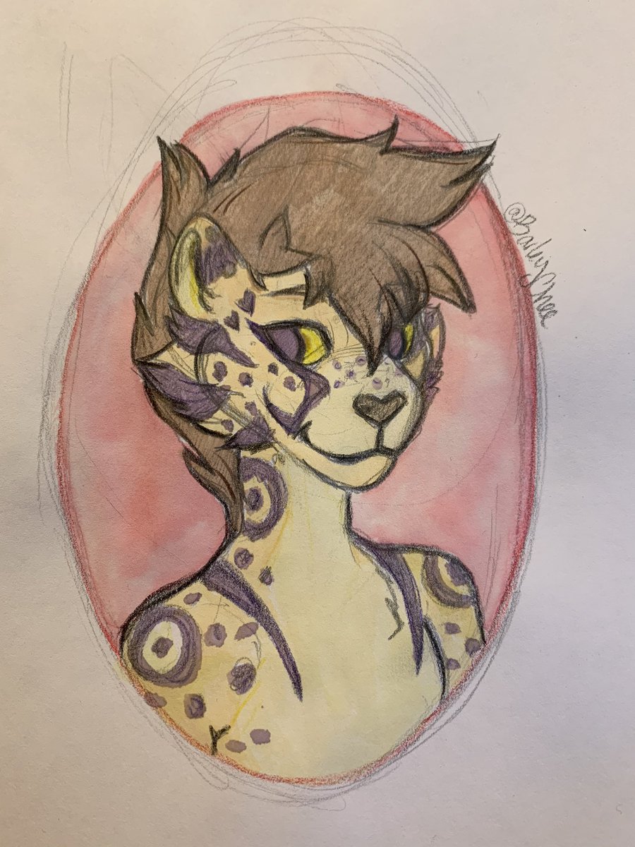 BarleyChee's tweet photo. Hi there! I’m Barley 🐱 
I’m a furry artist who makes digital and traditional art. I make a decent amount of NSFW art so this account is for 18+ only! I’ll block if I can’t confirm your age. 
I post here and on my patreon https://t.co/xyjEZ7Zq47