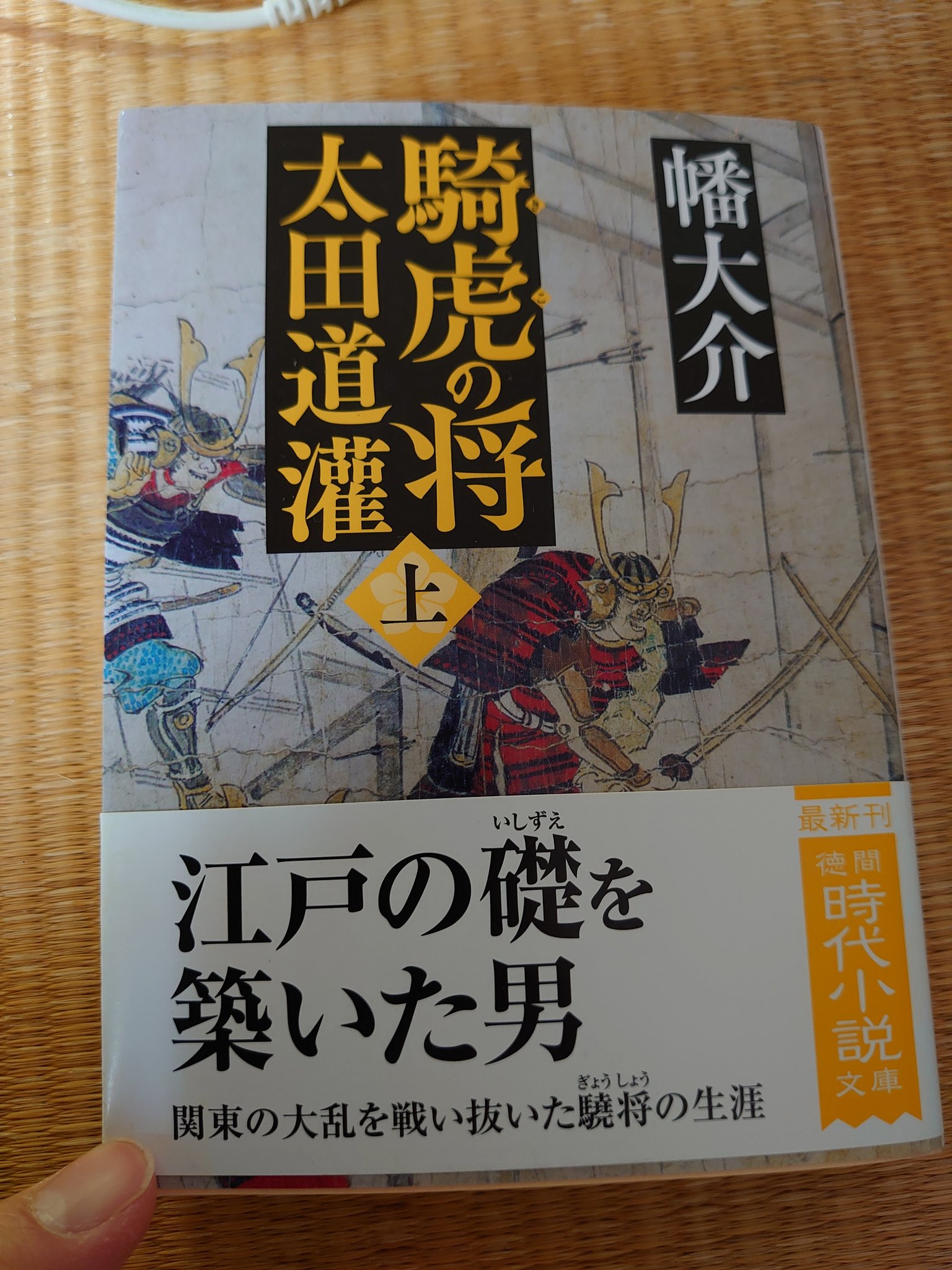 Nori読書アカ 21読了本35 読了 騎虎の将 太田道灌 上巻 幡大介 著 上巻読了 登場人物が多く把握に難儀したが 戦描写が多く否が応にも興奮する 特に目を引いたのが武田信長という武将 冗談みたいな名前だけど実在の人物 しかも戦上手 道灌はまだ