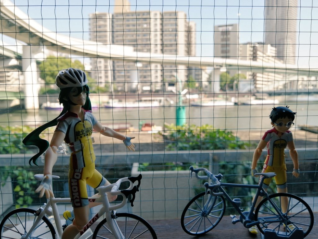 Hashtag 巻島先輩 Pe Twitter