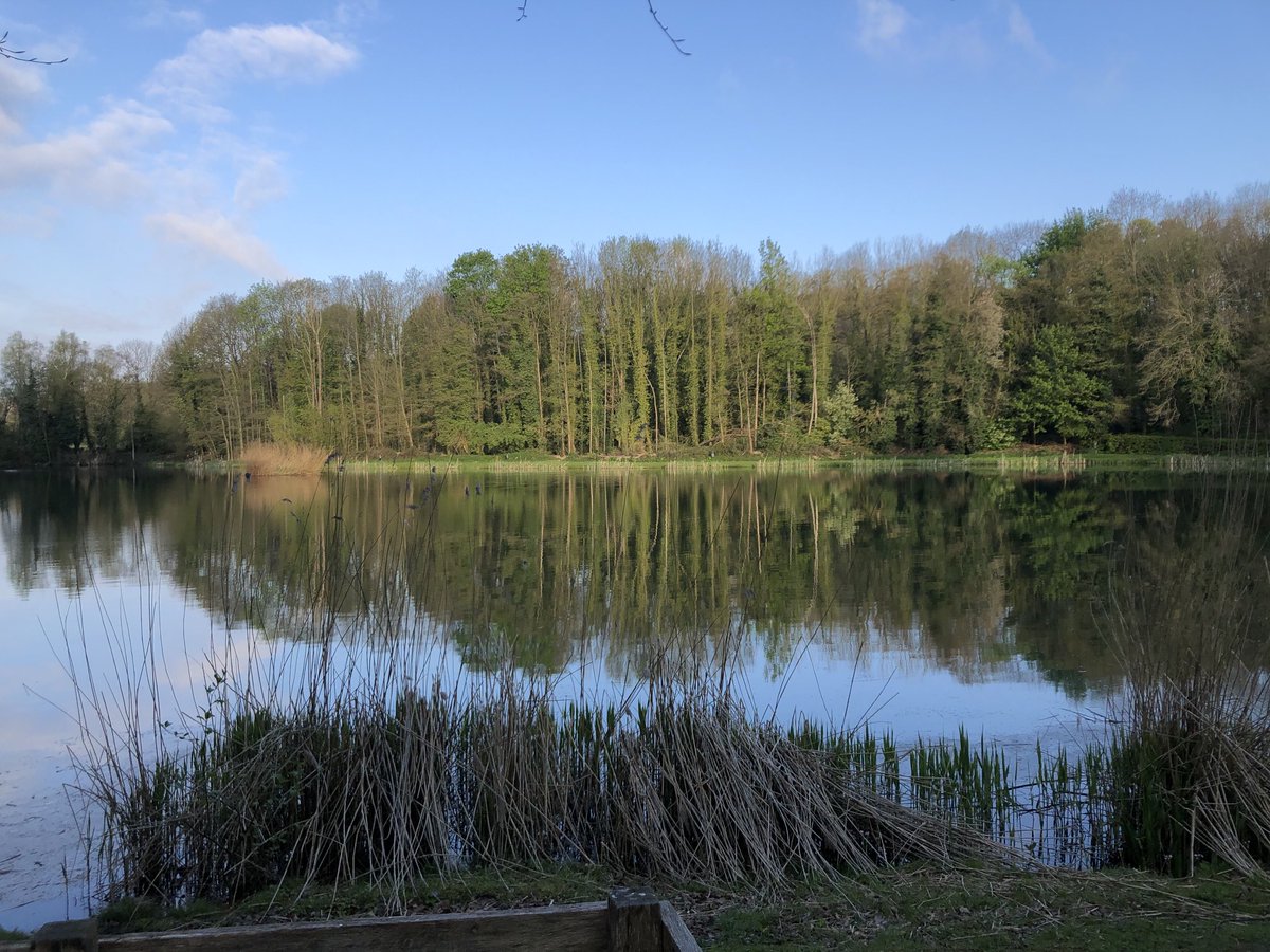 LeonPlla's tweet photo. Rondje hardlopen en genieten van de natuur zoek de verschillen 2-5 en vandaag😎👻 #bewegen #gezond #vitamines https://t.co/9EShdr6Qbw