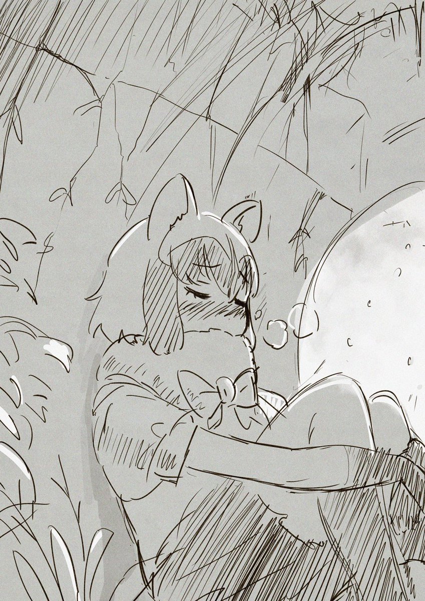 あらいさん 
