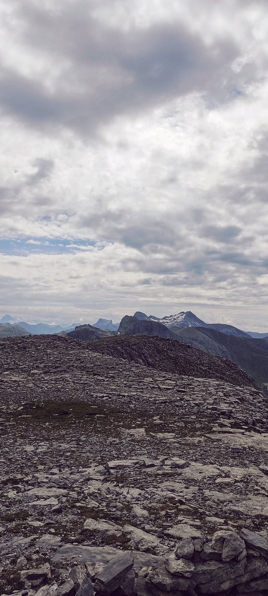 Pirinioak 💚🌼⛰️
