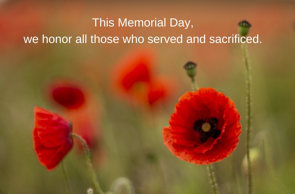 NOVICA (@novica) on Twitter photo 