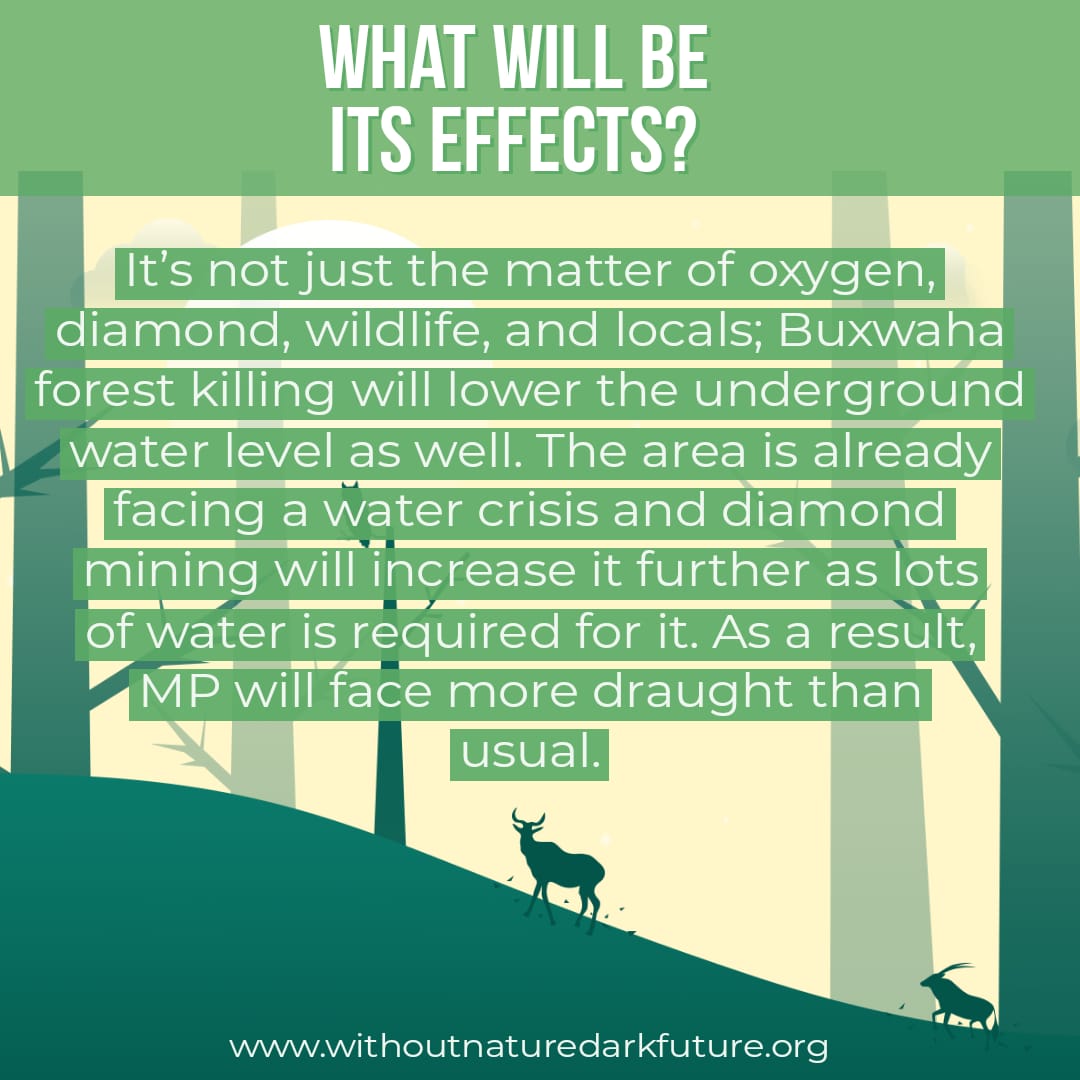 RAGHAVS59070556's tweet photo. Here everything you need to know about Buxwaha Forest and why so many people are protesting to save it.
#savebuxwahaforest
#withoutnaturedarkfuture
#WndfStrike4buxwahaForest
#save_buxwaha_forest
#save_buxwaha_tree
#बकस्वाहा_जंगल
#wndf
#buxwahaforest https://t.co/NMAfi1J7qn https://t.co/e8hdHtsJmW