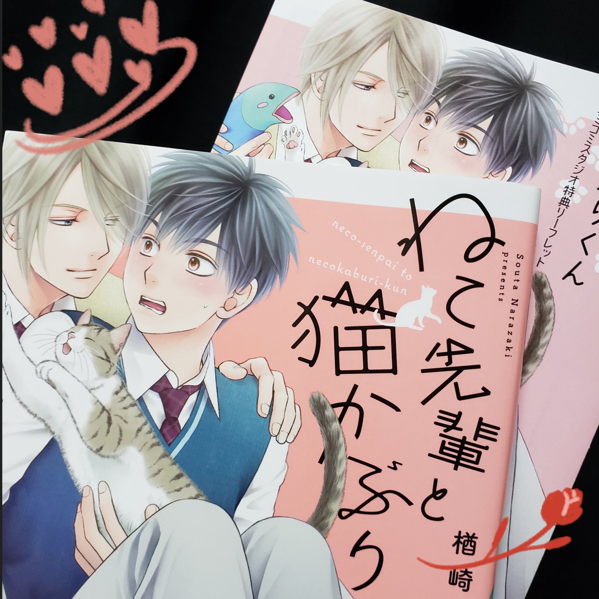 ねこ先輩と猫かぶりくん Twitter Search