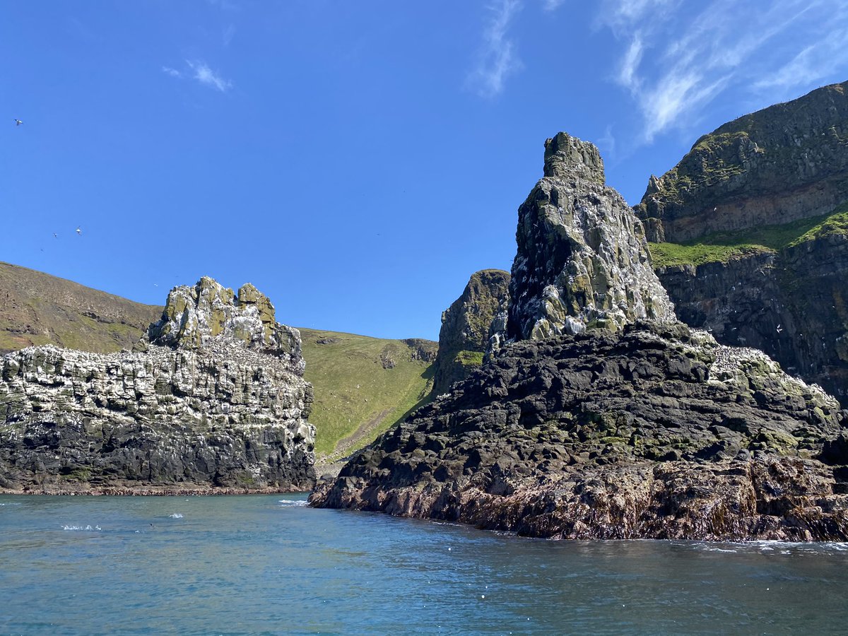 EcologicalKrc's tweet photo. #Rathlin Island - massive congrats to @RSPBNI team (esp Liam and Seán McFaul) for such success in bringing back unprecedented #Corncrake no’s to the island. Without doubt with the support of the Rathlin community incl landowners #rdca @CorncrakeLife @biosecurityLIFE. Magnificent https://t.co/KEtKdlmGaP