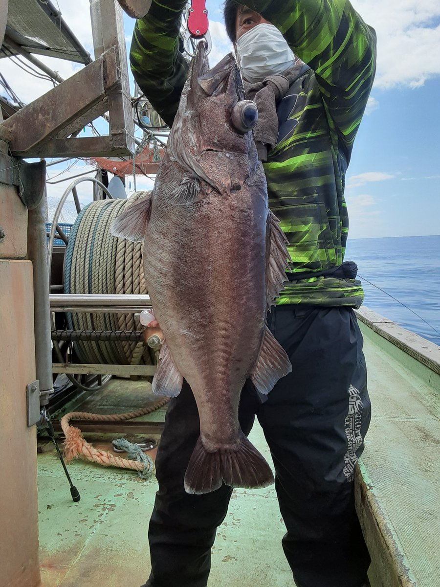新潟 間瀬港 東間 釣り船 ゴチ網 活魚販売 漁師 本日の釣果 アラ8 8キロ 鰤2本 ワラサ3本 鏡鯛2本 真鯛 マゾイ 沖メバル ホッケ トラギス カレイ 全員大物ゲット 東間レコード続出でした 間瀬港東間 ジギング タイラバ 釣果 新潟 間瀬港 東間 釣り船 ゴチ網 活魚販売 漁師 本日の釣果 アラ8 8キロ 鰤2本 ワラサ3本 鏡鯛2本 真鯛 マゾイ 沖メバル ホッケ トラギス カレイ 全員大物ゲット 東間レコード続出でした 間瀬港東間 ジギング タイラバ 釣果