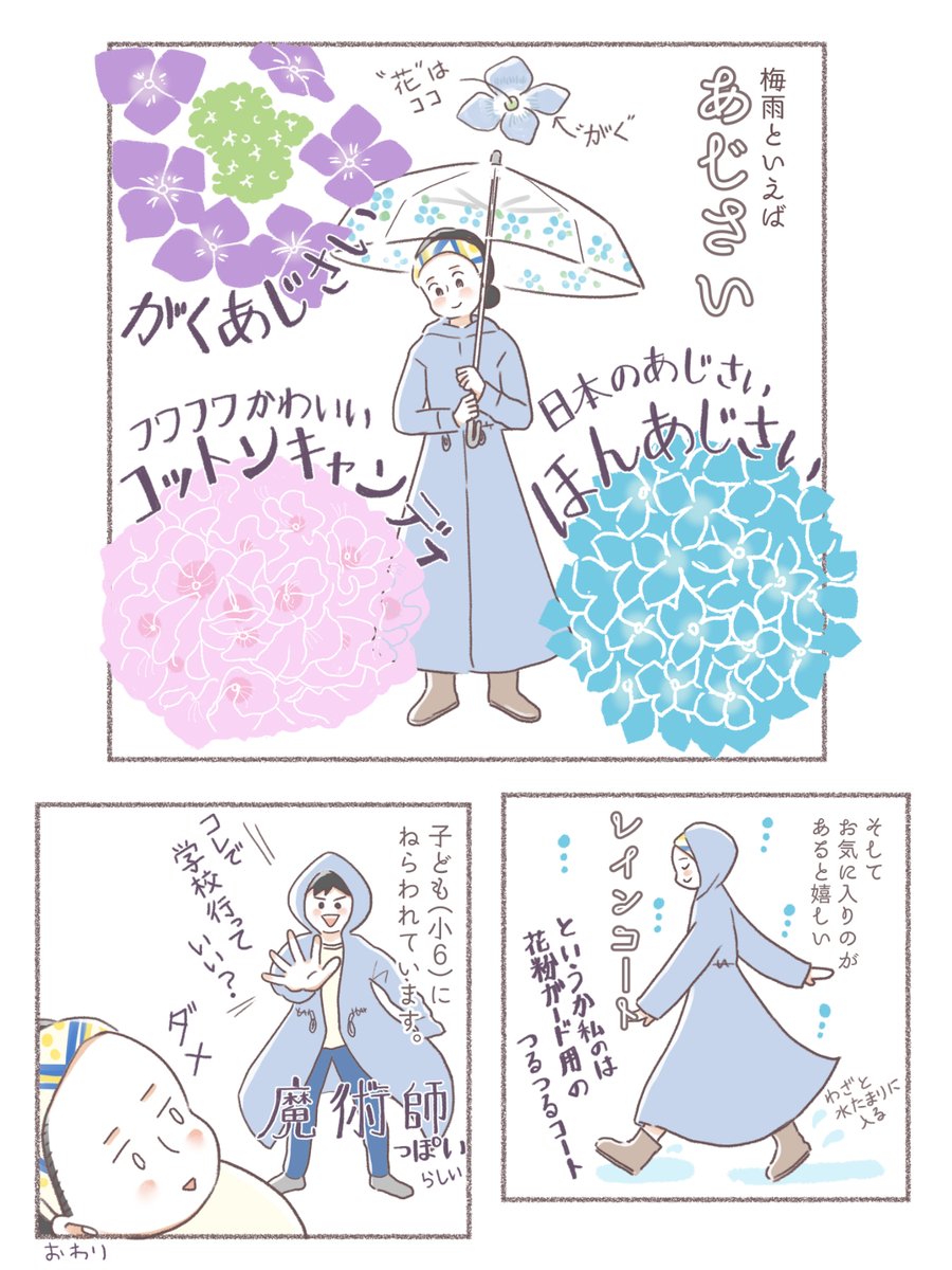 東京もそろそろ梅雨入りかな。うちの近所はあじさいが花盛りです。でも私が花だと思っていた部分は「ガク」なんだそうです。驚き。ご存知でしたか。
#絵日記 #イラストエッセイ 