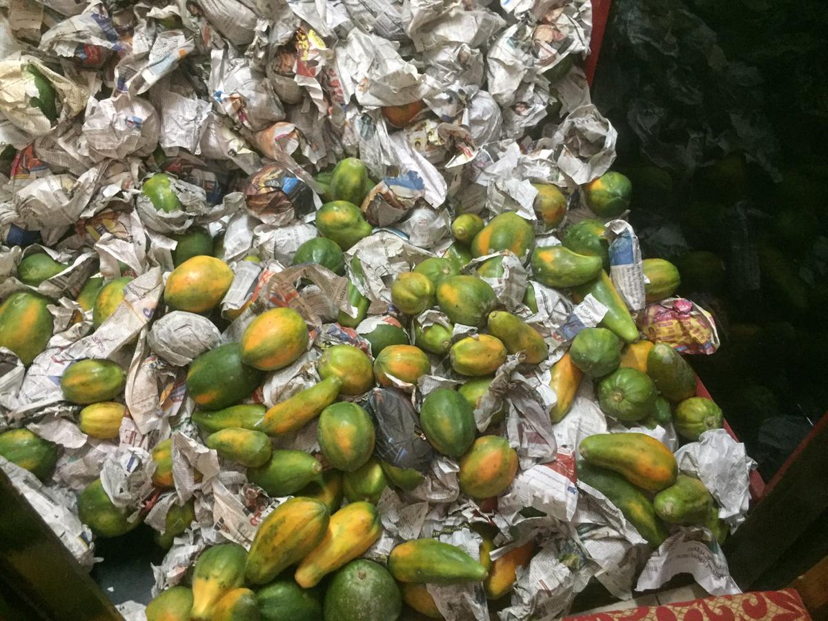 uthishta's tweet photo. https://t.co/bjo86CEuPf a non-profit Org working for upliftment of the marginalized in society.Yet another initiative 2 support farmers suffering due to Covid lockdown &amp; lack of market.Papaya farmers in distress with perishable produce. Uthishta purchased&amp;distributed in Bangalore https://t.co/jO7hVVegio
