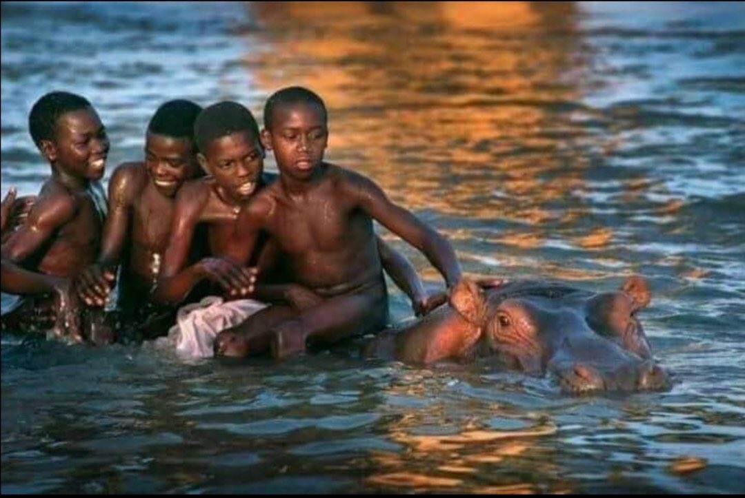 Africa is different. They hate to see it.