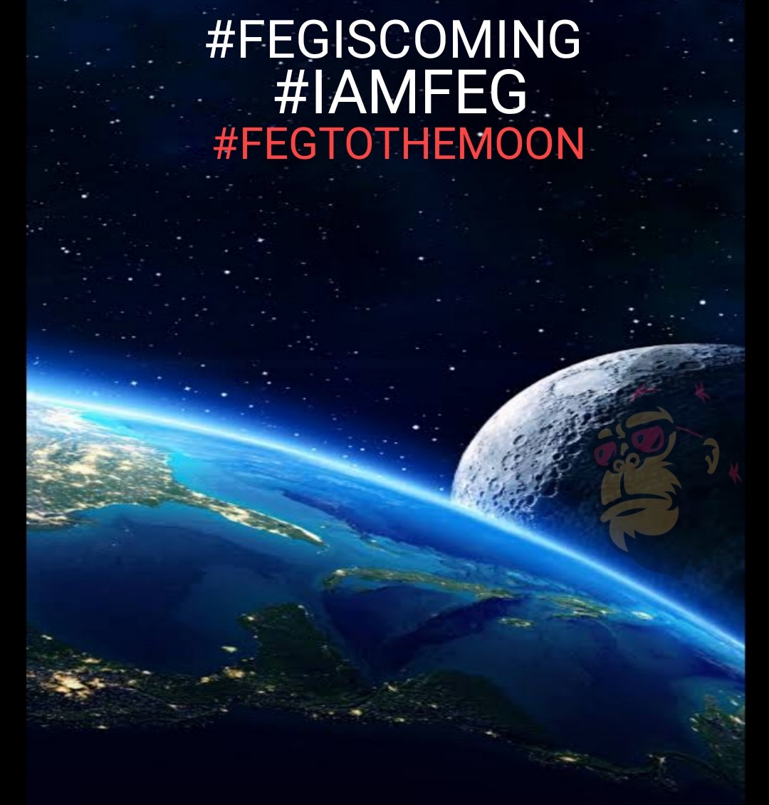 Fegkingofcoins tweet media