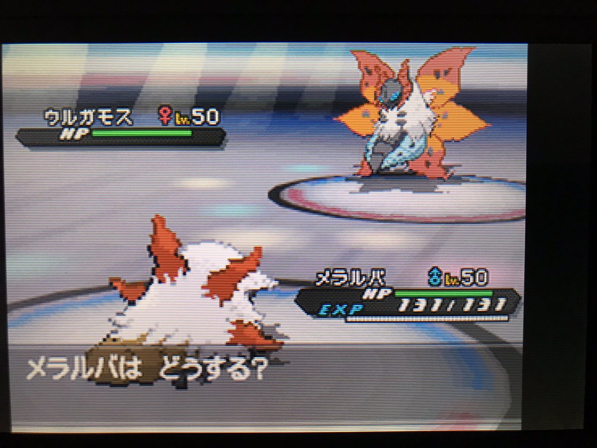 ポケモン Bw2 バグ ポケモン Bw2 ゲノセクト バグ ポケモン Bw2 バグ ポケモン Bw2 ゲノセクト バグ