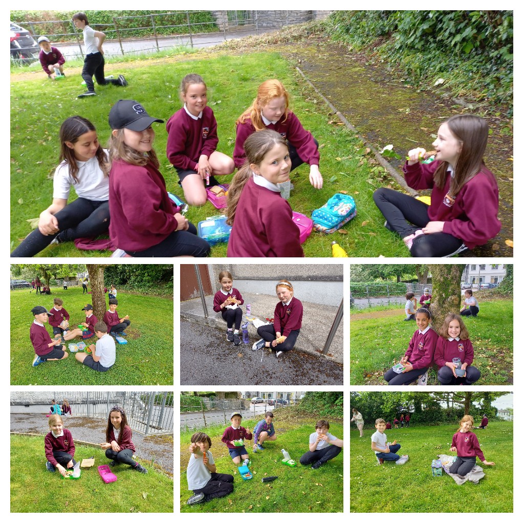MeereHelen's tweet photo. Lunch alfresco while we have the weather 💛💫🌼🌞🌞🕐@kinvarans https://t.co/6sEpoueM5f