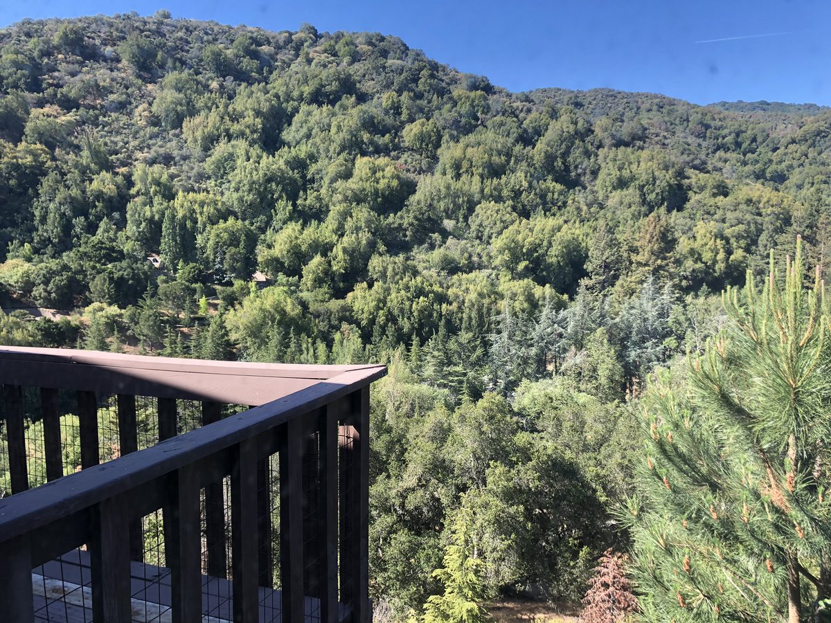 procheerkeiko's tweet photo. 我が家からたった15分なのに、義両親の家はこんなに山の中🌲🌲🌲　自然に囲まれ、 #キツツキ  のつつく音で目が覚める朝👁👁  夫曰く、週末にゆっくり寝たい時に限って嫌がらせのようにキツツキが家の壁をつついてうるさかったとか🤣 https://t.co/9CoHiq4MdR