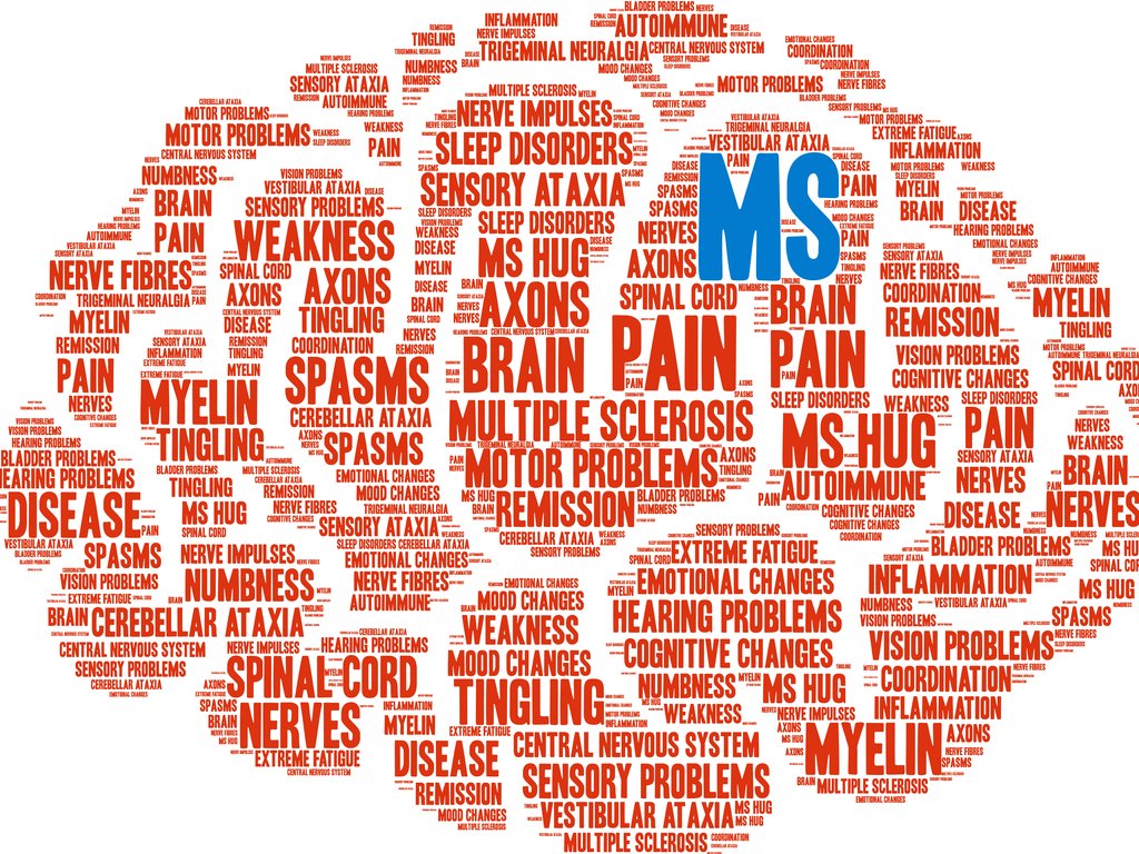 Wereld MS dag: 1 op de 700 Nederlanders gaat gebukt onder deze ziekte. In dit filpje van #MSZorgNederland zie je wat een #ergotherapeut voor mensen met MS kan betekenen: bit.ly/3oWQNcJ 
#MSConnections  #multiplesclerosis