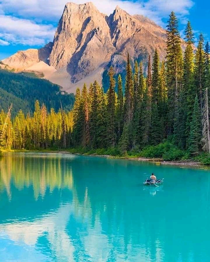 DebarghaBasu1's tweet photo. #NiceCapture
#EmeraldLake
#Canada https://t.co/fv411dSFVc