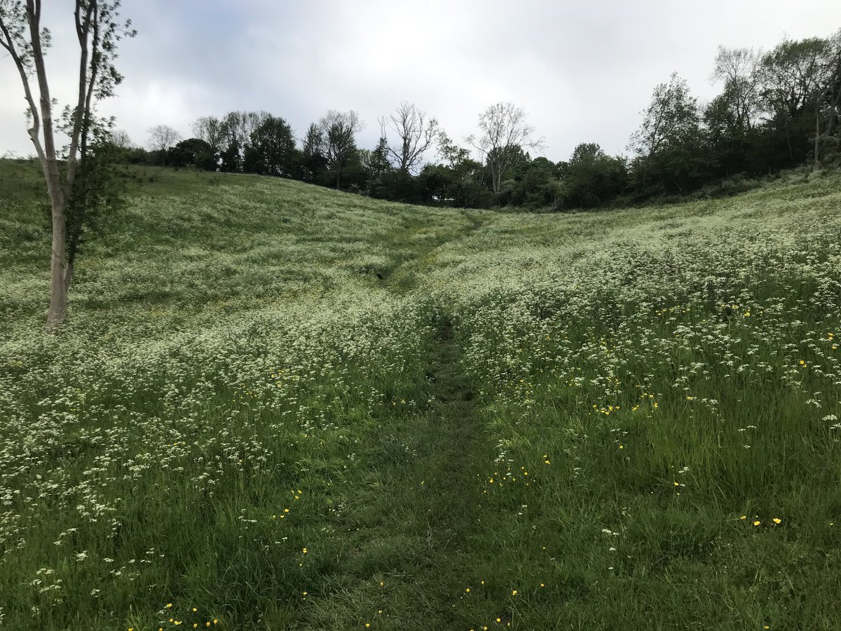 Not a bad way to start a Sunday... last day of pedometer challenge!@uclh ⁦<a href="/HTropDis/">The HTD</a>⁩