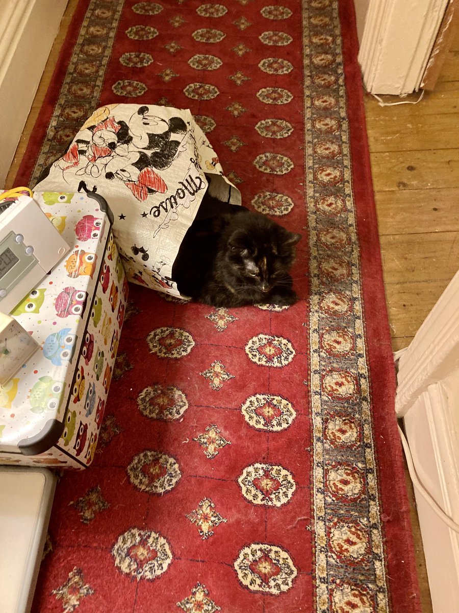 madeleinemaste4's tweet photo. Whenever I find myself
sinking into a gloom does
Pip #squeaka make me
laugh out loud! Here she
is in my Micky Mouse bag
βοΈππΎ
#alternativeview hopes you
have a happy #sunday π#bagsoffun xx https://t.co/AIaFvVzxcw