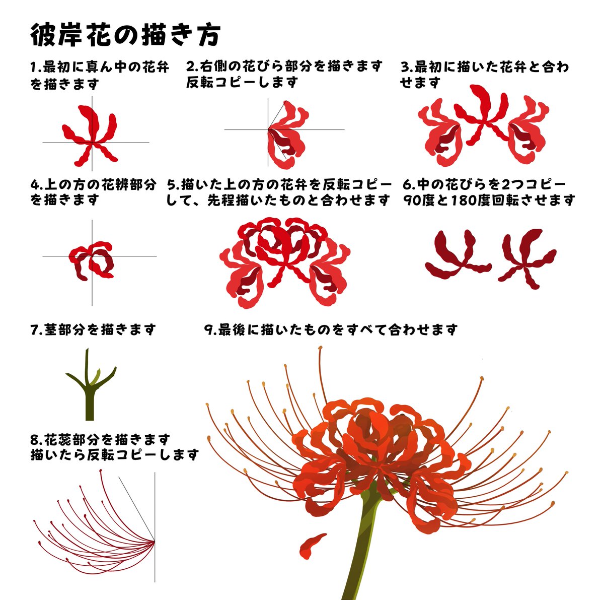 紅豆井 彼岸花 藤の花 桜の描き方 花 Flowers 絵描きさんと繋がりたい 初夏の創作クラスタフォロー祭り