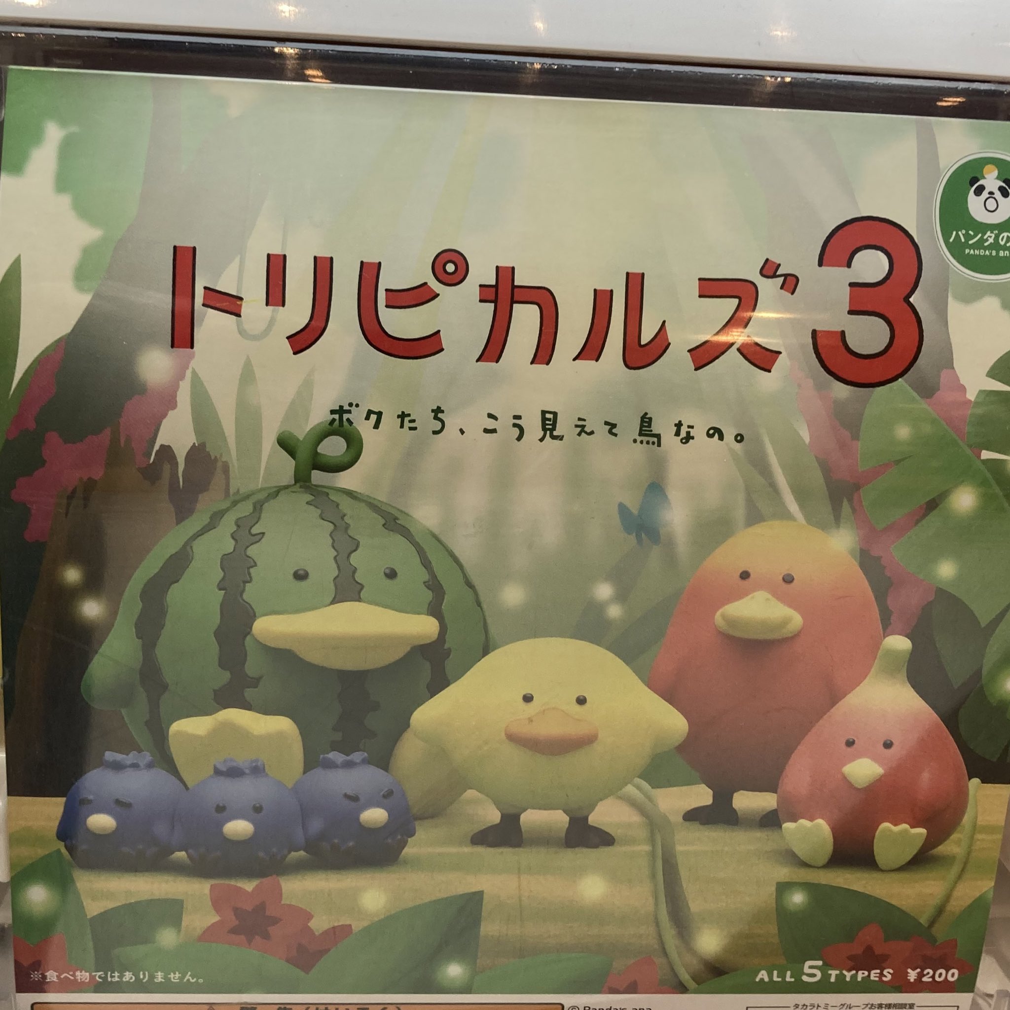 パンダの穴 ☆トリピカルズ1 トリピカルズ2 トリピカルズ3 全シリーズ