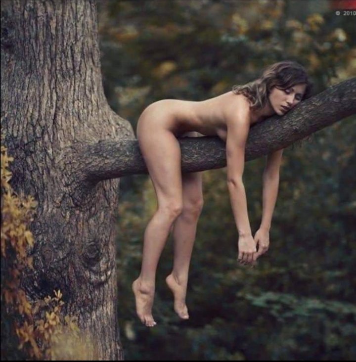 TARZANİNİ BEKLEYEN JANE