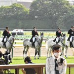 広瀬香美の国歌斉唱に？ビビってしまった誘導馬たち!