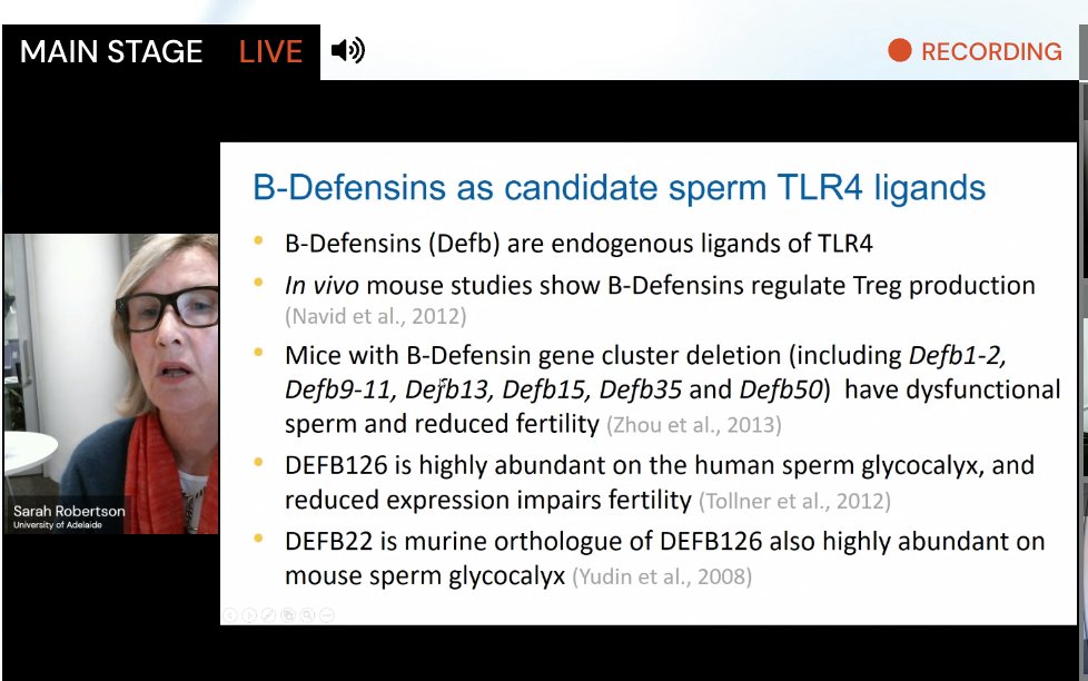 DrDanielMarcu's tweet photo. Absolutely fascinating in vivo and in vitro work suggesting that signals from sperm contribute to provoking the uterine immune response and that subsequently prepares the uterus for implantation. #13NYRA @choosy_uterus @RobsInstitute https://t.co/A15UtL3A8F