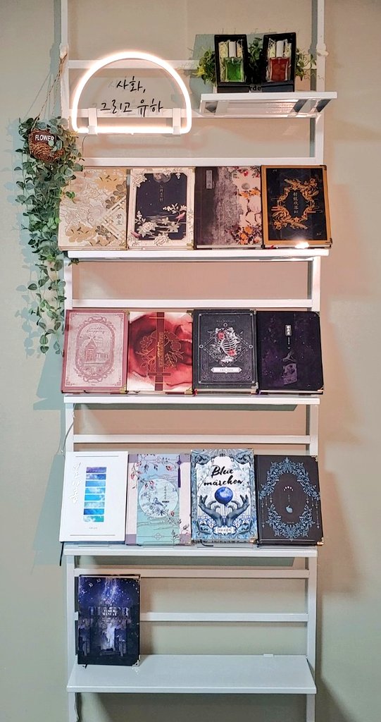 모르는개 tweet media