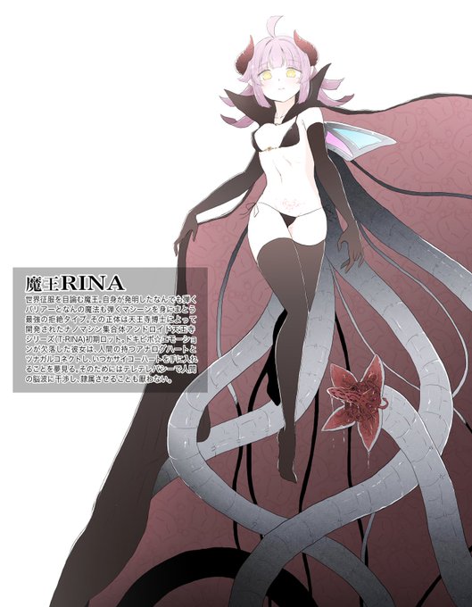 魔王りなりーの設定です。 