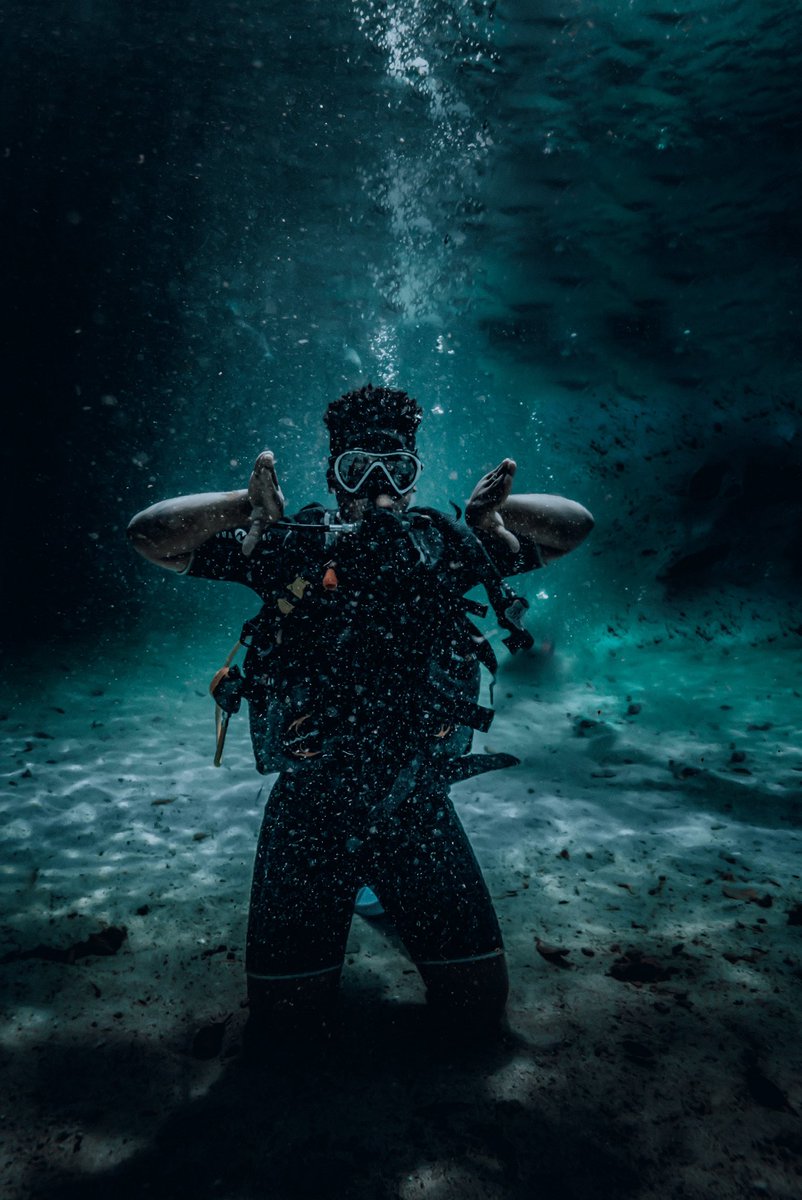 docsow1's tweet image. Let’s see what y’all have to say about it 🐶 🌊